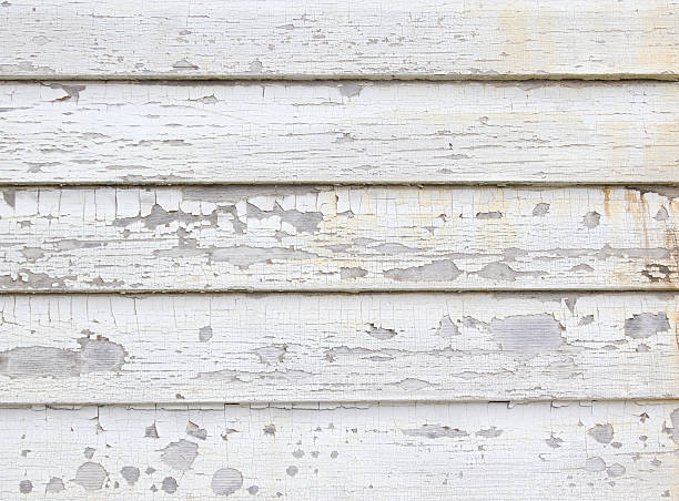 Historical Building Siding Restoration in Eucalyptus Hills, CA